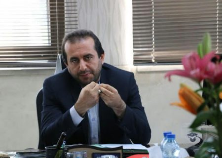 محمدی: «فرهنگ مالیاتی» از «عدالت مالیاتی» متاثر می شود