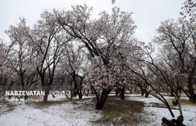 بارش اولین برف زمستانی