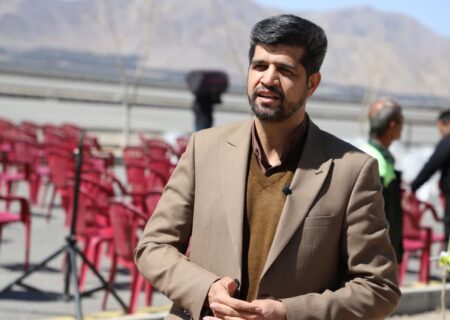 اسماعیلی احمدی: دیوارنگاره؛ هنری آموزشی برای زیباسازی شهر