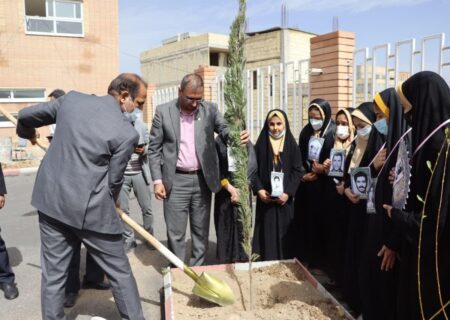 امینی: سرانه فضای سبز شهر باغبادران رشدی حدود دو برابر داشته است