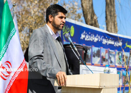 اسماعیلی احمدی: نقش عوارض سبز در ضریب افزایش درآمدهای پایدار شهرداری‌ها