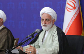 اژهای: قانون دست ما را باز گذاشته تا مقتضیات زمانی را لحاظ کنیم