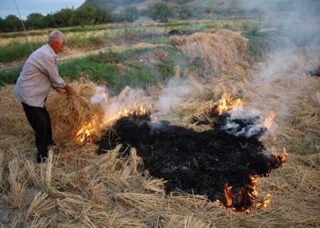 آتش زدن کاه وکلش برنج نفس سده لنجان را می گیرد/سوزاندن کاه و کلش برنج طبق قانون جرم محسوب می‌شود