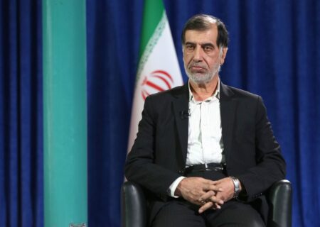 باهنر: وظیفه شوراها در حال حاضر به انتخاب شهردار محدود شده است